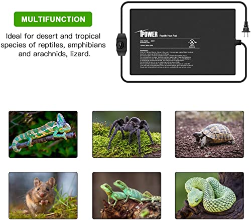 iPower 8 by 12-Inch 16 Watts Reptile Heating Mat with Temperature Controller Under Tank Warmer Terrarium Heat Pad for Reptiles and Amphibians, Black - size: 8" x 12", style: Heat Pad with Adjust Knob