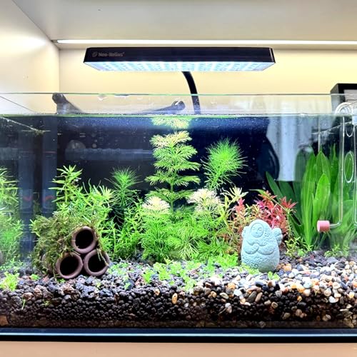 M2cbridge Ceramic Shrimp Dome Hide Shelters Swim Holes Shrimp Habitat Breeding Tube (2PCS Purple Pipe) - color: 2pcs Purple Pipe