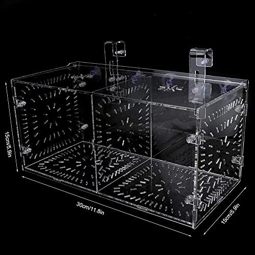 Fish Breeding Box Acrylic Fish Isolation Box Fish Seedlings Incubator Aquarium Fish Breeder Box with Isolation Board for Baby Fishes Shrimp Clownfish and Guppy(30CM*15CM*15CM)
