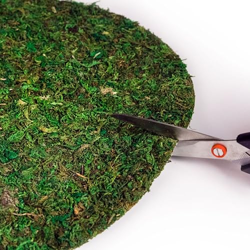 SuperMoss (26305) Moss Soil Topper | Preserved Green Mountain Moss with Mesh Backing | Indoor Plant Soil Cover for Flowerpots, Orchid Pots, Terrariums, and Craft Décor, 8” Set of 3, Green