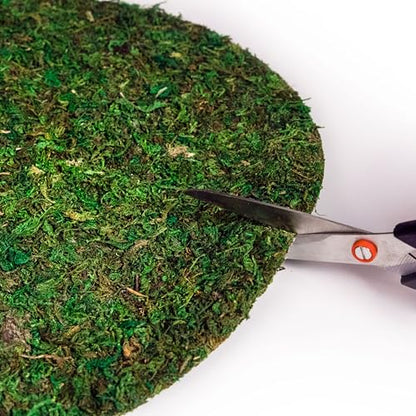 SuperMoss (26325) Moss Soil Toppers (Place Mats), Fresh Green, 16" (3 units) - color: Fresh Green, size: 16" (3 units)