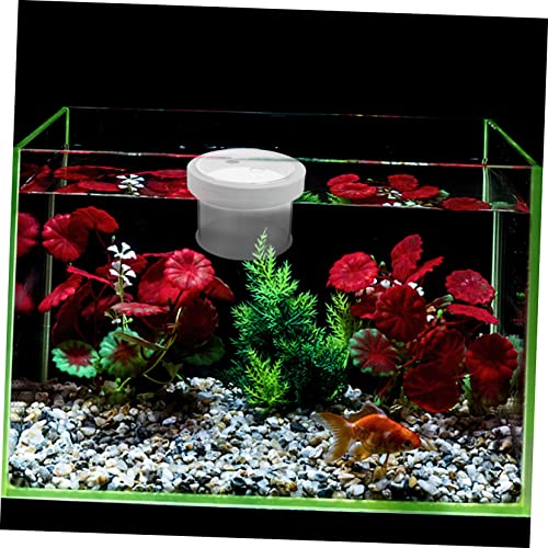 Floating Acrylic Fish Tank Breeding Box Durable Fish Isolation Container for Small Fish Easy Observation with Openable Cover for Guppy Betta and Cichlid Aquariums