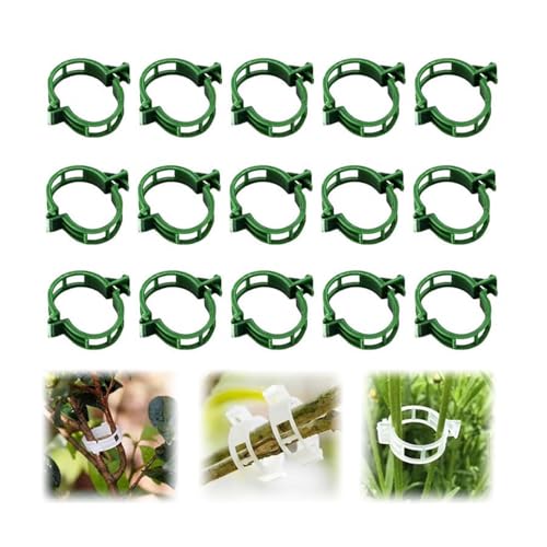 Secured Plastic Plant Clip, 2025 Upgrade Plant Support Clips Reusable Garden Clips, Garden Clips for Climbing Plants, Plastic Trellis Clips Tomato Grape Vine Vegetables Plant Fixing Clips (50, Green) - color: Green