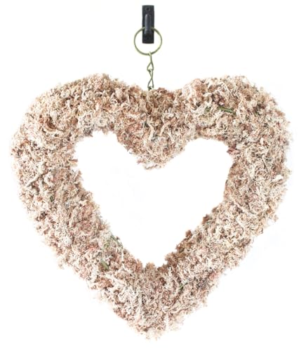 SuperMoss (22362) Living Wreath for Indoor and Outdoor Decor – Soil-Free Sphagnum Moss Wreath for Succulents, Plants, and Flowers – DIY Garden Craft for Front Door or Wall, 13”, Heart - size: 13"