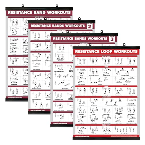 Palace Learning 4 Pack - Resistance Bands Workout Exercise Posters Volume 1, 2 & 3 + Resistance Loops Fitness Chart (LAMINATED WITH PLASTIC FRAME, 18" x 24") - color: WITH PLASTIC FRAME