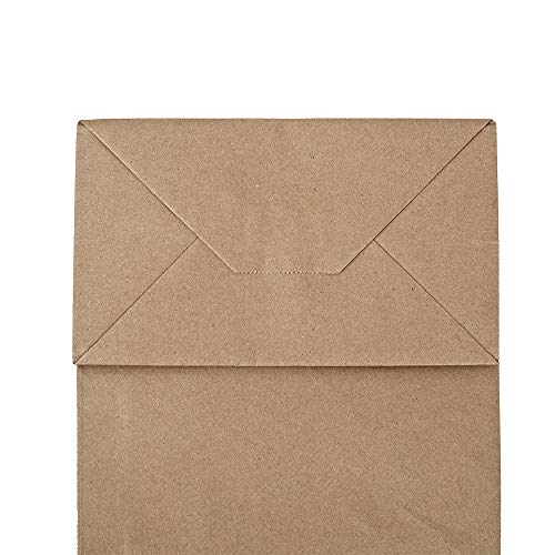 bagmad 100 Pack 8x4.75x10 Inch Plain Medium Paper Bags with Handles Bulk, Brown Kraft Craft Gift Bags, Grocery Shopping Retail Birthday Party Favors Wedding Sacks (Natural Brown, 100pcs) - color: Brown