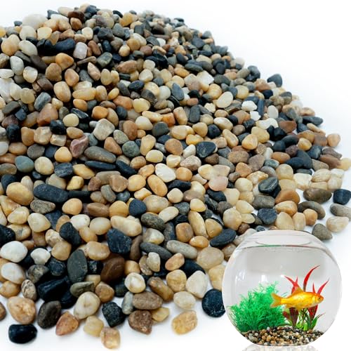 NUPICK 12 lb Aquarium Gravel, 1/4" Ph-Natural Pea Gravel for Fish Tank | Small River Rocks for Plants, Decorative Aquarium Pebbles for Vase, Landscaping, Succulent, Cactus, Terrarium, Bird Bath - size: 12 lb