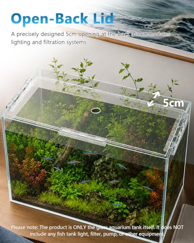 10 Gallon Glass Fish Tank Open-Back Lid, Aquarium Fish Bowl Cube for Betta Goldfish Snails Shrimp Aquatic Planting, Ultra Clear Rimless Low Iron - color: Transparency, size: 10 Gallon
