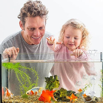 Aquarium Fish Shrimp Feeding Dish Set Clear Fish Feeder Tube and Dish with Cleaning Brush and Measuring Spoon for Feeding Shrimp and Preventing Food Scattering Feeding Supplies for Shrimp Large - size: Large