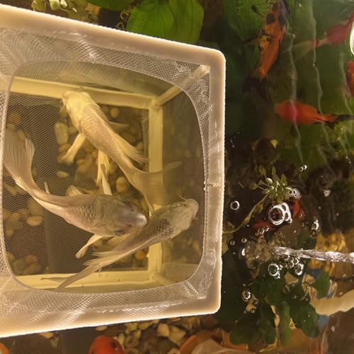 2 Pcs Fish Breeder Incubator Mesh Box, Breeding Box for Fish Tank with Suction Cup