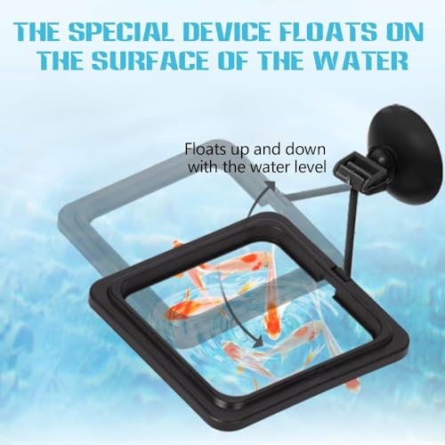 Fish Feeding Ring, Fish Safe Floating Food Feeder Circle Blue, with Suction Cup Aquarium, Square and Round Shape Fish Tank Towels - for Guppy, Betta, Goldfish, Etc (1 Square) - color: Black Square