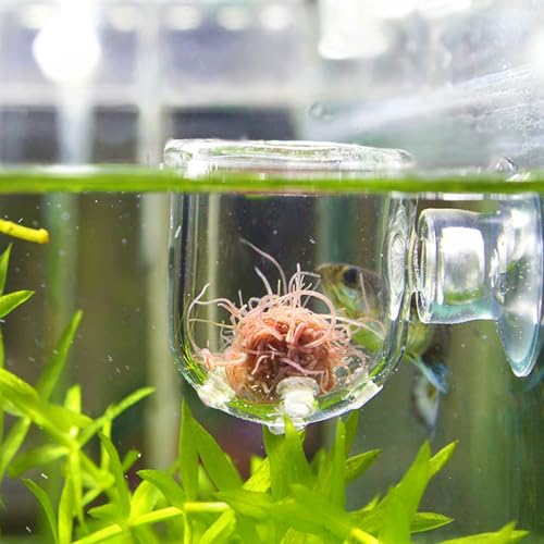 Aquarium Feeding Cup Fish Feeder Glass Acrylic Suction Cup Container for Freshwater Saltwater Tanks with Premium Suction Red Live Food Feeder (Glass Perforated (Suitable for nematodes)) - size: Glass perforated cup (suitable for nematodes)