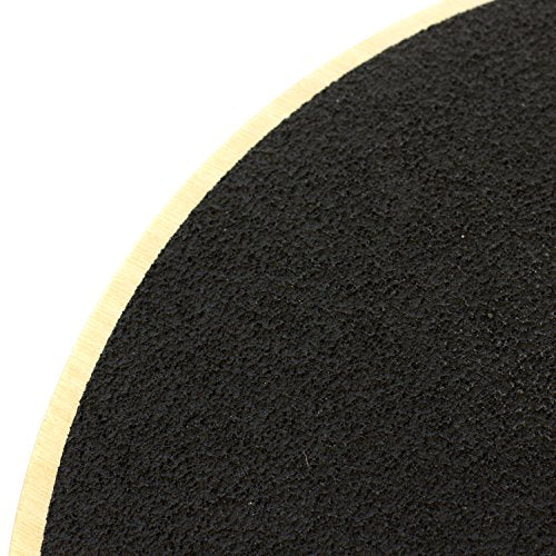 MERRITHEW Rotational Disk, Pair - size: 12-Inch