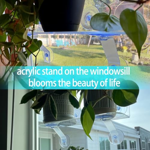 2 Pack 15 Inch Suction Cup Shelf for Plants Window - 5IN Extra Wide with Load-Bearing Brackets Window Shelf for Plants, Acrylic Window Sill Extender for Growing Herbs, Micro Vegetables, Succulents - size: 15 IN * 6 IN * 2.8-2PC