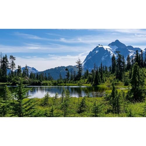 Majestic Picture Lake Aquarium Background Lush Alpine Meadows Evergreen Forests Fish Tank Background Scenic Mountain Tranquil Lake Terrarium Backgrounds Green Meadow Reptile Tank Backgrounds 24x12in - color: Green_Blue, size: 24(W)x12(H)in