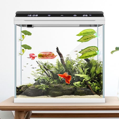 Betta Hammock & Hideout Set – 5PCS Soft Plants & Acrylic Tube Tunnel for Betta Tank