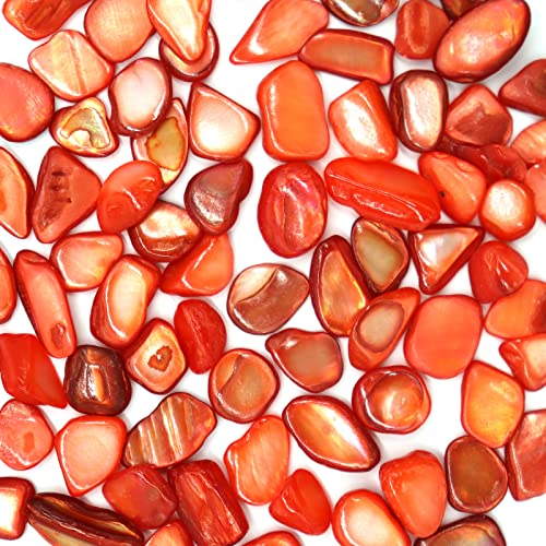 MOP Small Mini Gules Crushed Mother of Pearl Shells | Natural Seashell Fragments for Crafts, Vase Filler and Wedding Decor, 32 oz (2 lb) - color: Gules