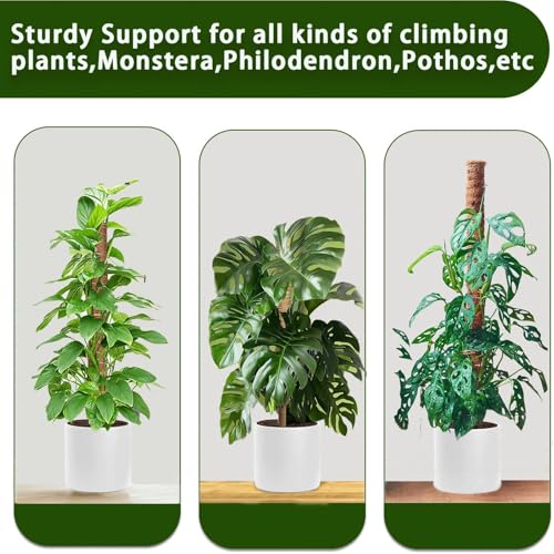 Moss Pole, 2Pack 21 Inch Plant Support Stakes for Indoor Plants, Monstera Plant Support Stakes, 37 Inch Tall Coir Plant Pole Sticks for Potted Plants, Pothos, Philodendron - size: 2pcs x 21 Inches