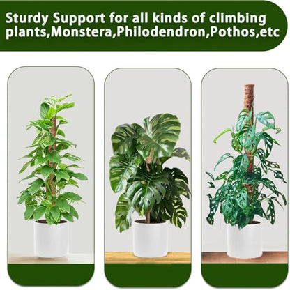 Moss Pole, 2Pack 21 Inch Plant Support Stakes for Indoor Plants, Monstera Plant Support Stakes, 37 Inch Tall Coir Plant Pole Sticks for Potted Plants, Pothos, Philodendron - size: 2pcs x 21 Inches