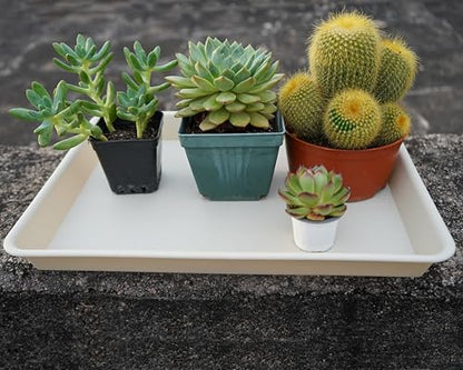 VUWEZ Rectangle Plant Tray, Plant Drip Tray, Plant Pot Saucers, Plant Germination Trays, Plant Saucers, 11'' x 9'' x 1.2'' (2 pack), Beige - color: Beige, size: 11'' x 9'' x 1.2'' (2 pack)