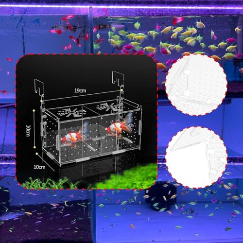 Breeding Box for Aquarium Acclimation Hatchery Acrylic Clear Sick Box Breeder for Clown Betta, Double Room