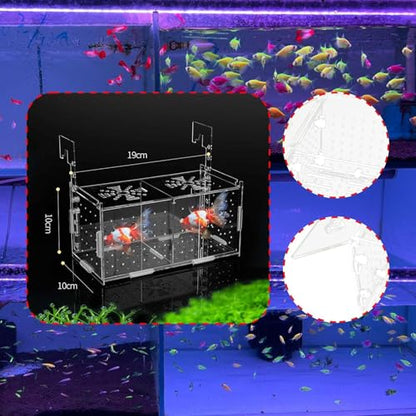 Breeding Box for Aquarium Acclimation Hatchery Acrylic Clear Sick Box Breeder for Clown Betta, Double Room