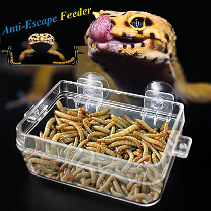 Reptile Gecko Feeder Dish Bowl Chameleon Worm Anti-Escape Bowl Suction Cup Feeder for Reptiles, 1 Feeder and 2 Feeding Tong