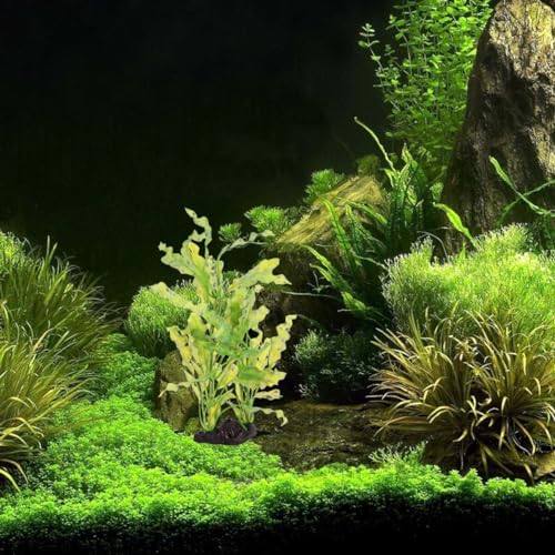 POPETPOP Aquarium Plants - Fish Tank Plant Aquarium Decorations Artificial Kelp Aquatic Plants Plastic Plants for Fish Tank Decorations