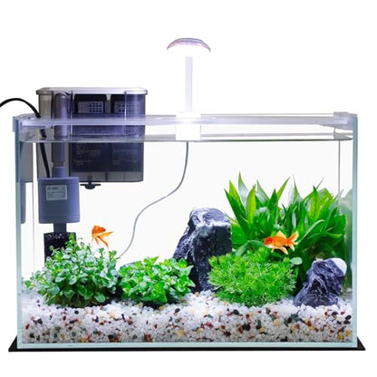 Vimvins 5 Gallon Glass Small Fish Tank with Filter Light and Lid, Betta Aquarium Starter Kits - size: 5 Gallon