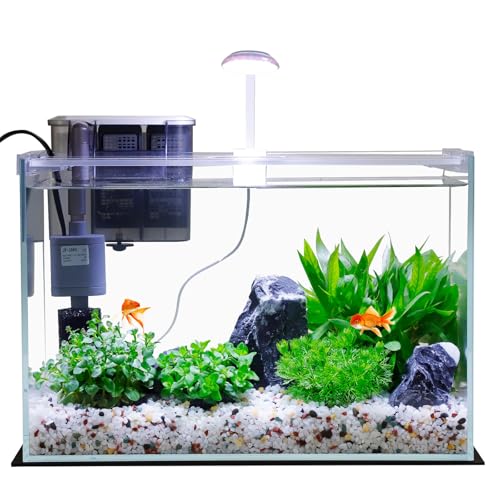 Vimvins 5 Gallon Glass Small Fish Tank with Filter Light and Lid, Betta Aquarium Starter Kits - size: 5 Gallon