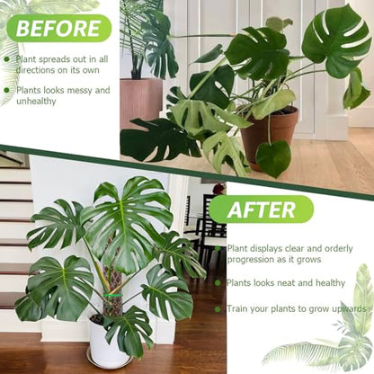 Sisher 6 Pcs Monstera Moss Pole,Plastic Moss Poles for Climbing Plants | Work With Sphagnum Moss,16'' Plant Support For Indoor Climbing Support,Garden Ties - size: 6 PACK