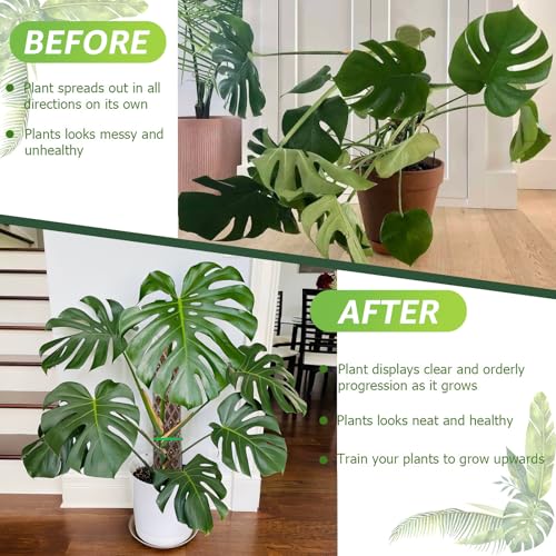 Sisher Monstera Moss Pole 4pcs Plastic Moss Pole for Climbing Plants | Work With Sphagnum Moss,16 Inch D Shaped Poles Indoor Plant Support,Diy Moss Pole,White - size: 4 PACK