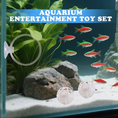 Betta Fish Toys, 2 PCS Fish Exercise Ring and Nitrifying Balls Set, Betta Mirror Toy Set, Feeding Ring with Suction Cup, Fishing Tank Accessories for Gifts (Clear) - color: Clear