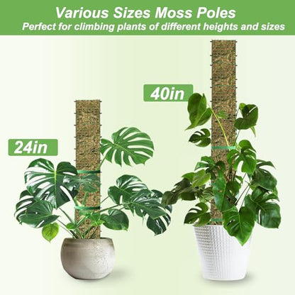 60"/40"/24" Metal Moss Pole, D Shape Sphagnum Moss Pole, Moss Poles for Climbing Plants, Monstera, Indoor Climbing Plants (2 Each of 40" 24") - style: 2 Each of 40" 24"
