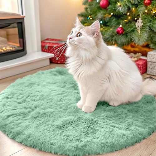OLANLY Mint Green Round Rugs for Bedroom - Machine Washable, 2 ft Circle Area Rugs for Living Room, Soft and Fluffy Shaggy Carpet for Teen Girls and Boys, Nursery Rooms, Dorms, Home Decor Aesthetic - color: Mint Green, size: 2 Ft Round