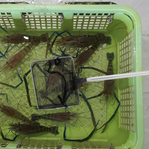 2pcs Fine Mesh Aquarium Fish Nets with Stainless Steel Handle Small Nylon Shrimp and Fish Catch Nets for Freshwater and Saltwater Tanks and Adults