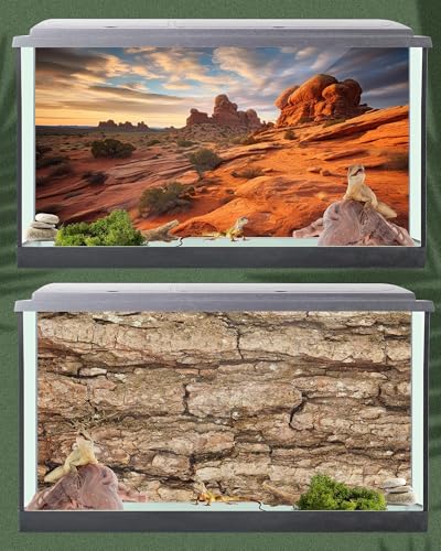 4 Pcs 30 x 11.8'' Reptile Tank Background 20/30 Gallon Bearded Dragon Terrarium Background Decor Polyester Reptile Tank Accessories for Leopard Gecko, Crested Gecko, Tortoises - size: 30 x 11.8 Inch