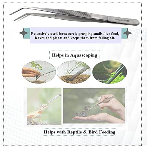 Reptile Feeding Tongs Straight Aquarium Tweezers Anti-Rust Thickened Stainless Steel Forceps, for Terrarium, Fish Tank, Snakes/Lizards/Gecko, Planting By HTI (6" - Angled) - size: 6" - Angled