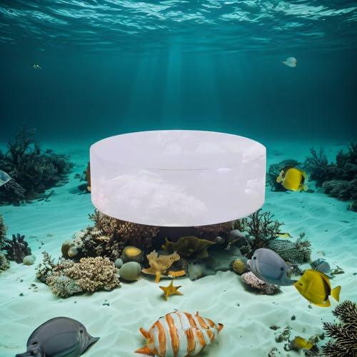 TOPINCN Aquarium Viewer, Fish Acrylic Observe Lense for Marine Aquarium Reef (150mm) - size: 150mm