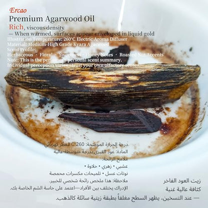 Chinese Natura Kynam Agarwood （Qinan Oud） - Boasts a Distinctly Unique Aroma, Ideal for Home Incense, Meditation & More | Sustainable Harvesting (10g Experience Pack - Sink Grade - Block) - color: 10g Experience Pack - Sink Grade - Block