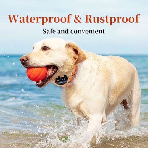 Waterproof TPU Replacement Strap for Dog Training Collar, 27.5 in - color: Orange Reflect