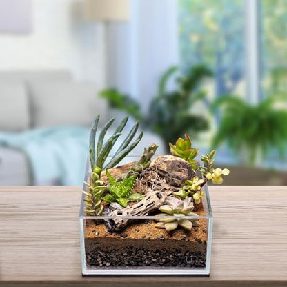 Natural Cholla Wood - Driftwood for Aquariums, Air Plant Base, Hermit Crab and Freshwater Shrimp Hideout, Fish Tank Decoration, Chinchilla Chews, Reptile Habitat Wood - 6 Inch, 3pc - size: 6 Inch, 3pc