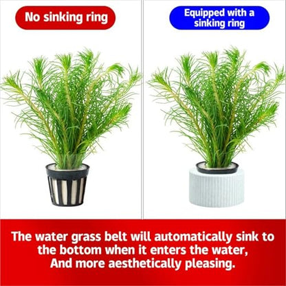 50Pcs Aquatic Plants Fixed Ring Fish Tank Fix Basket Aquarium Accessories Landscape Decoration Water Grass Cup