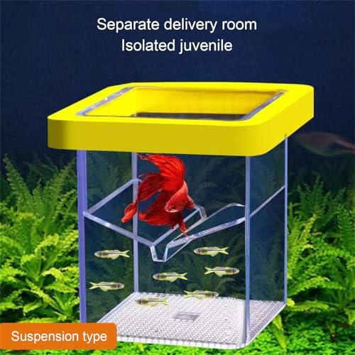 Fishtank Hatchery Incubator Aquarium Small Breeding Box Clear Breeder Isolation Hatching Box with Suction Cup Safe Fish Eggs Incubator - color: Yellow