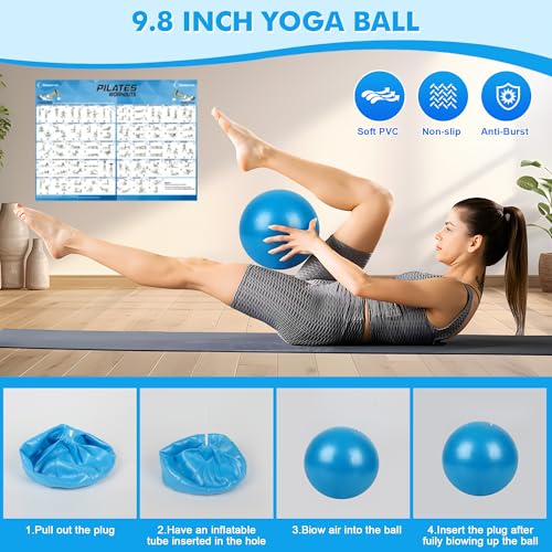Goocrun Pilates Ring Set Exercise Equipment, with Exercise Resistance Bands Set, Pilates Ball, Sliding Disks. Portable Home Gym - with Fitness Guide Poster - color: Black, size: Basic-level