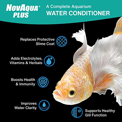 Kordon #33156 Novaqua Plus- Water Conditioner for Aquarium, 16-Ounce, Black - size: 16 Ounce