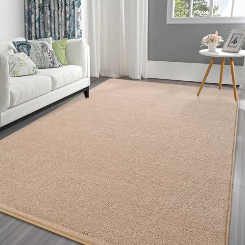 Pettop 4x6 ft Beige Area Rugs for Bedroom Living Room, Washable Memory Foam Indoor Carpet, Modern Aesthetic Minimalist Non Slip Soft Comfy Carpet for Boys Girls Dorm Home Decor - color: Beige, size: 4' X 6' (Rectangular)