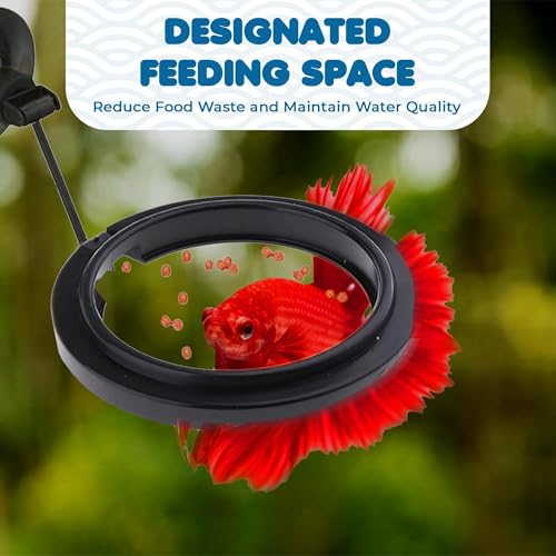 SunGrow Betta Feeding Ring, Prevent Water Turbulence from Washing Food into Filter, Practical Round Floating Food, Suitable for Guppy, Goldfish and Other Small Fish (1 Pc)