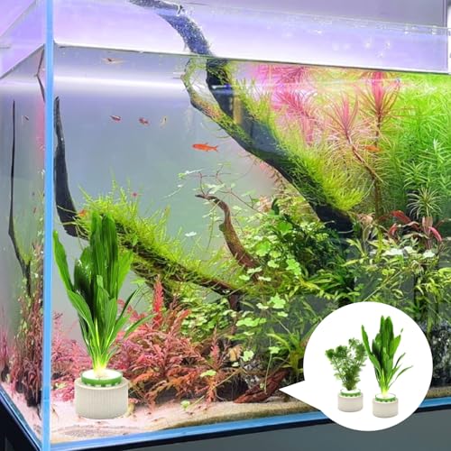 12 Pack Aquarium Plant Weights, Aquatic Plants Fixed Ring Set, Anti-Floating Ceramic Aquarium Plant Rings, Aquarium Landscape Decoration Fish Tank Accessories 1.8 x 1.3 Inch - size: 12PCS