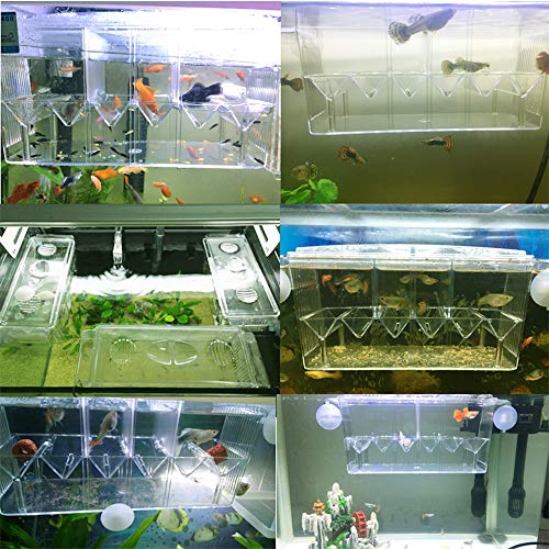 Tfwadmx Fish Breeding Box, 3 Rooms HD Aquarium Breeder Box with Suction Cups Hatchery Acrylic Fish Incubator Isolation with Artificial Plant for Guppy Hatchery - size: 3 Rooms
